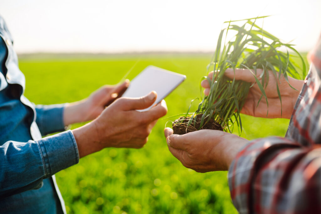 Sustainable land-use and forestry project landscape — TerraBridge advisory context